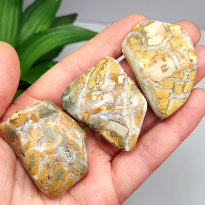 Ibis Jasper Crystal from Madagascar (30