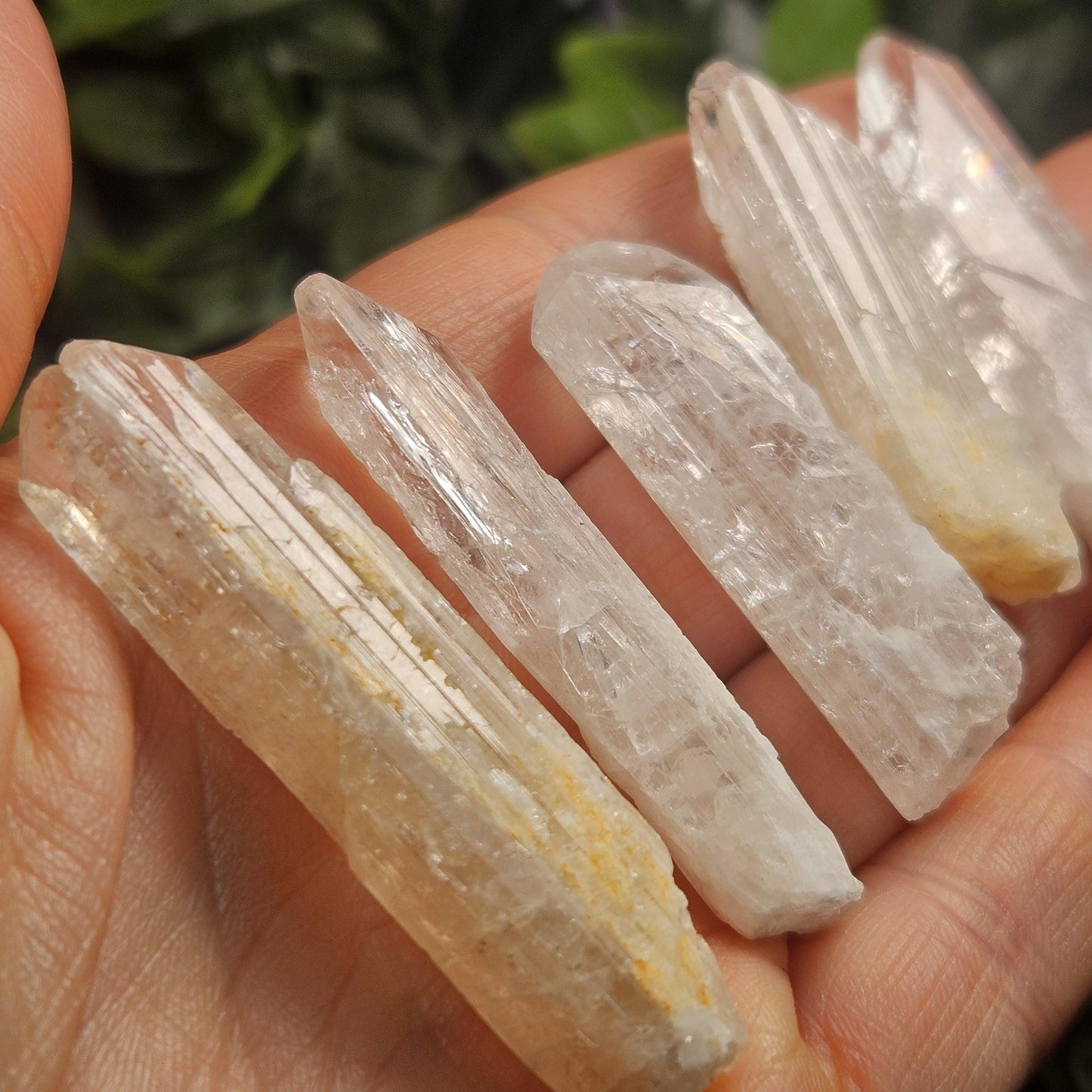 Raw Danburite Crystal (40mm): Large Terminated Mexican Danburite Blade