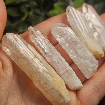 Raw Danburite Crystal (40mm): Large Terminated Mexican Danburite Blade