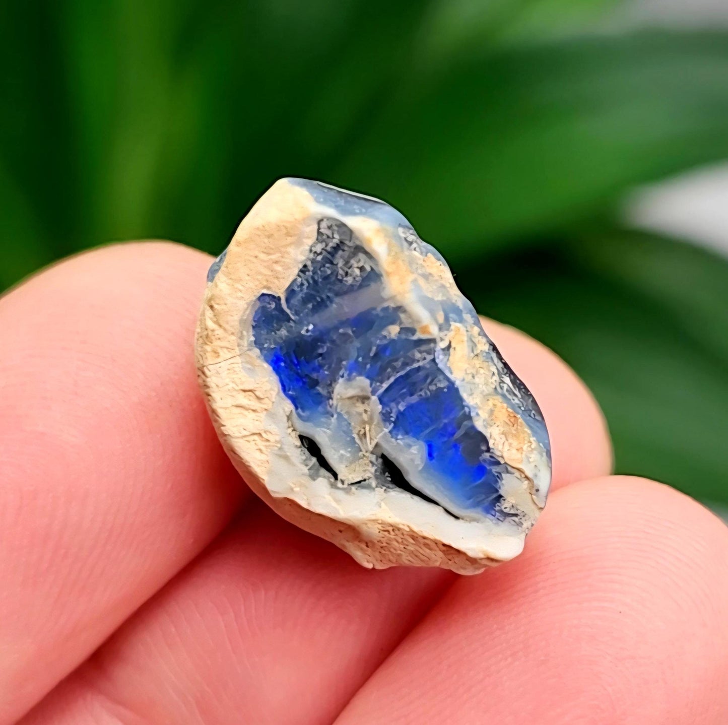 Lightning Ridge Black Opal 2.0g, Raw Australian Opal Stone Specimen