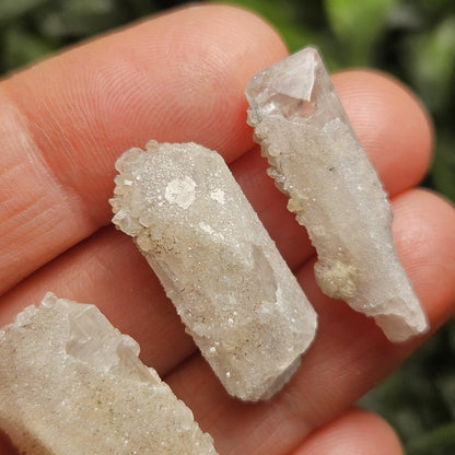 Sugar Danburite Crystal Specimen: Raw Mexican Danburite with Quartz Druzy