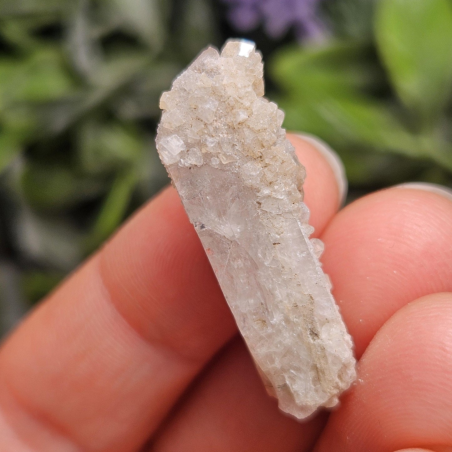 Sugar Danburite Crystal Specimen: Raw Mexican Danburite with Quartz Druzy
