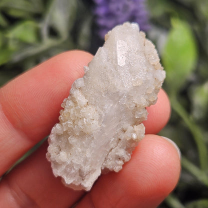 Sugar Danburite Crystal Specimen: Raw Mexican Danburite with Quartz Druzy