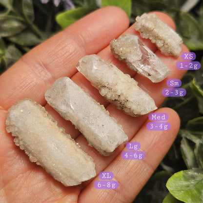 Sugar Danburite Crystal Specimen: Raw Mexican Danburite with Quartz Druzy