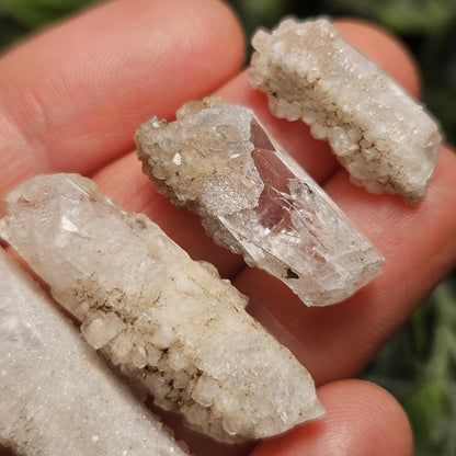 Sugar Danburite Crystal Specimen: Raw Mexican Danburite with Quartz Druzy