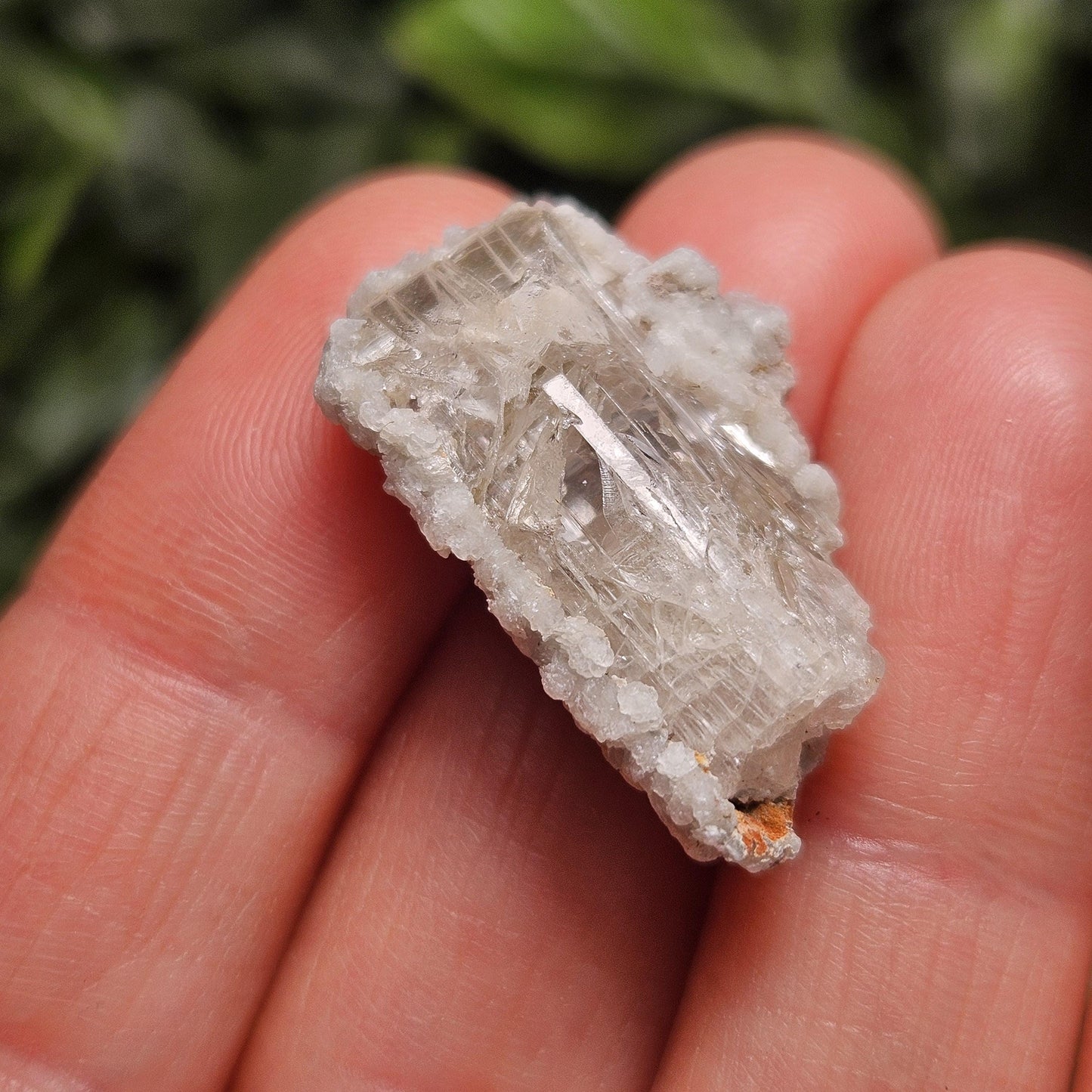 Sugar Danburite Crystal Specimen: Raw Mexican Danburite with Quartz Druzy