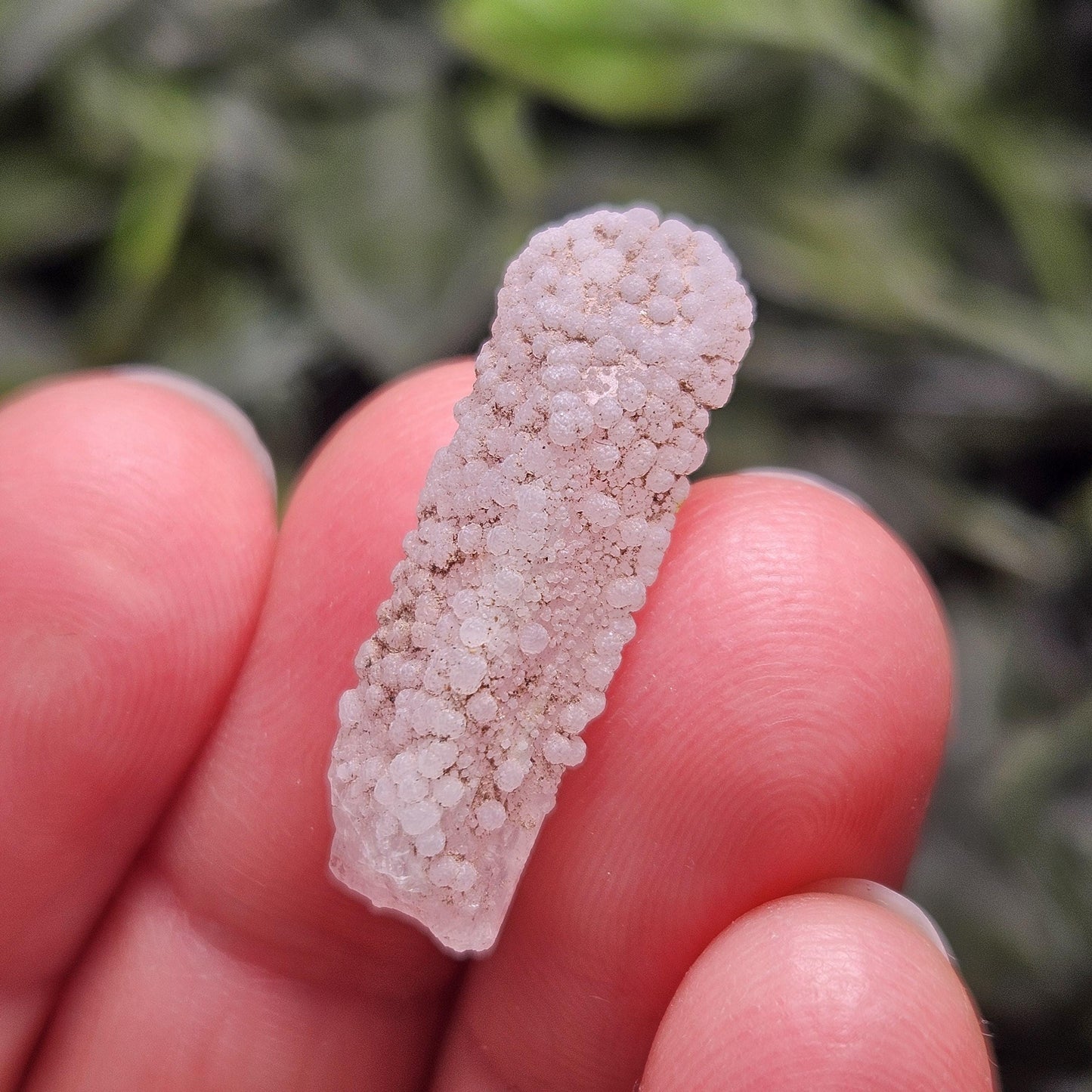 Sugar Danburite Crystal Specimen: Raw Mexican Danburite with Quartz Druzy