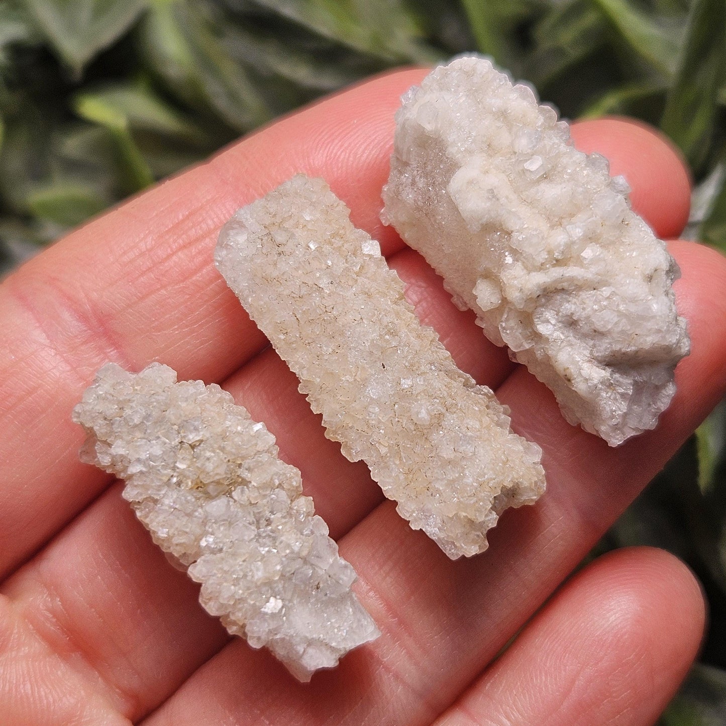 Sugar Danburite Crystal Specimen: Raw Mexican Danburite with Quartz Druzy