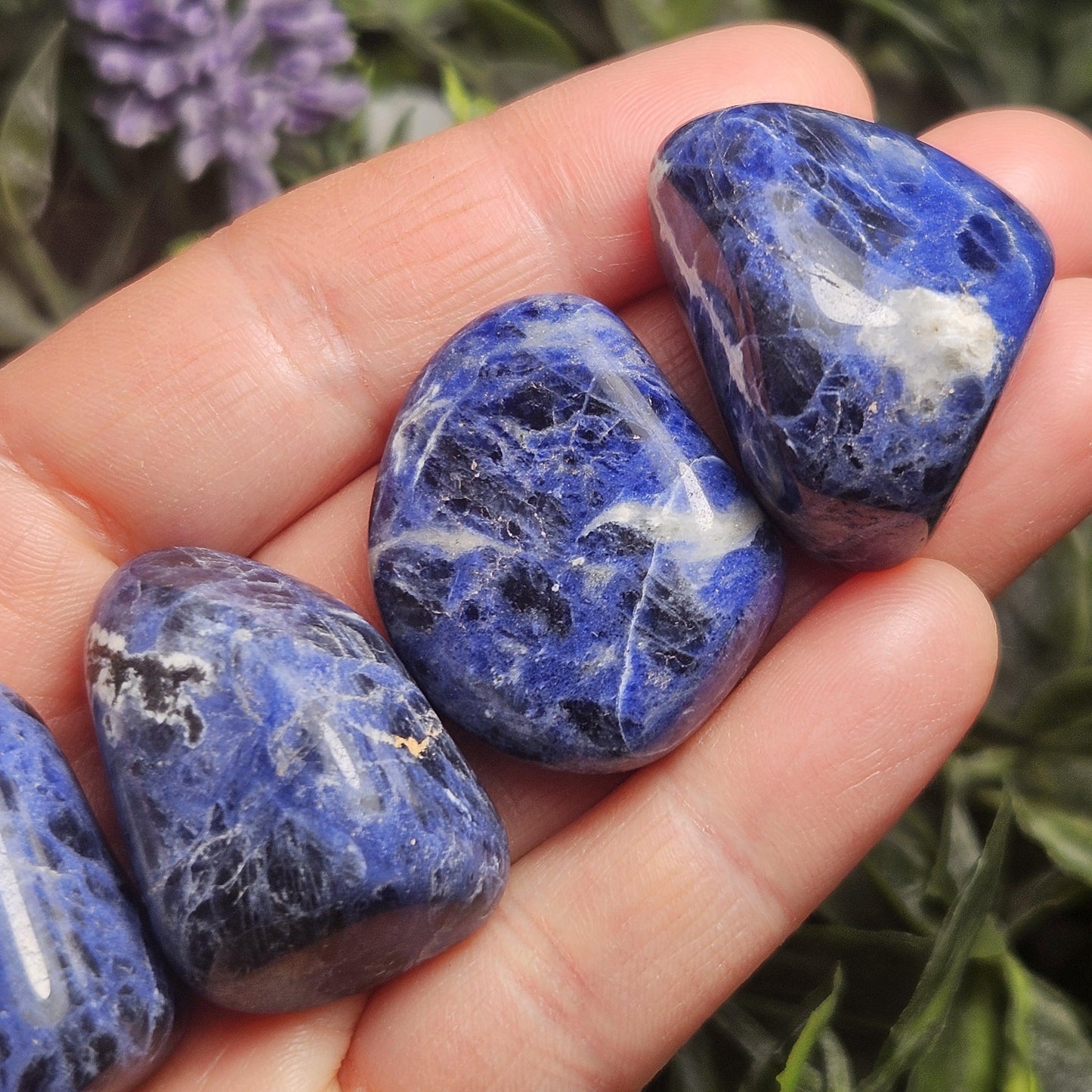 Sodalite Crystal Specimen (.75