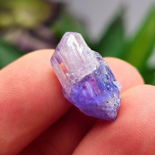 Tanzanite Crystal 2.2g, Raw Bicolor Tanzanite, Terminated Gemstone Specimen