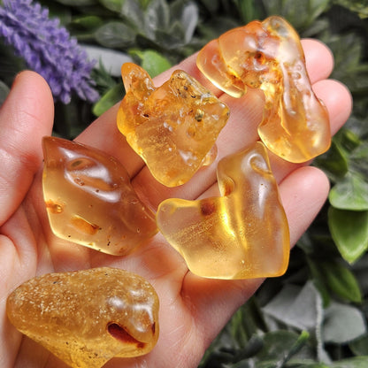 Polished Amber Specimen, Colombian Young Amber, Copal Fossil