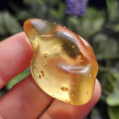 Polished Amber Specimen, Colombian Young Amber, Copal Fossil