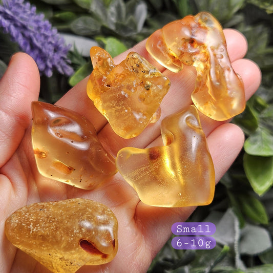 Polished Amber Specimen, Colombian Young Amber, Copal Fossil