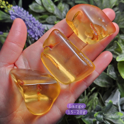 Polished Amber Specimen, Colombian Young Amber, Copal Fossil