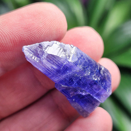 Tanzanite Crystal 7.6g, Raw Terminated Authentic Tanzanite Stone Specimen