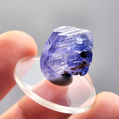 Indigo Tanzanite Crystal 3.3g, Raw Terminated Bi color Tanzanite Specimen