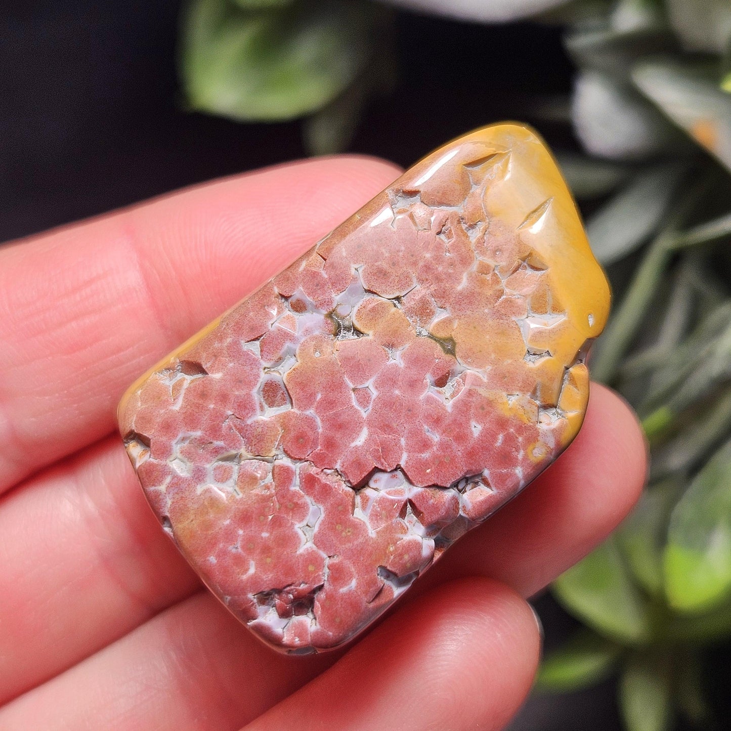 Orbicular Ocean Jasper Tumbled Stone, Natural Polished Kabamby Ocean Jasper Crystal from Madagascar
