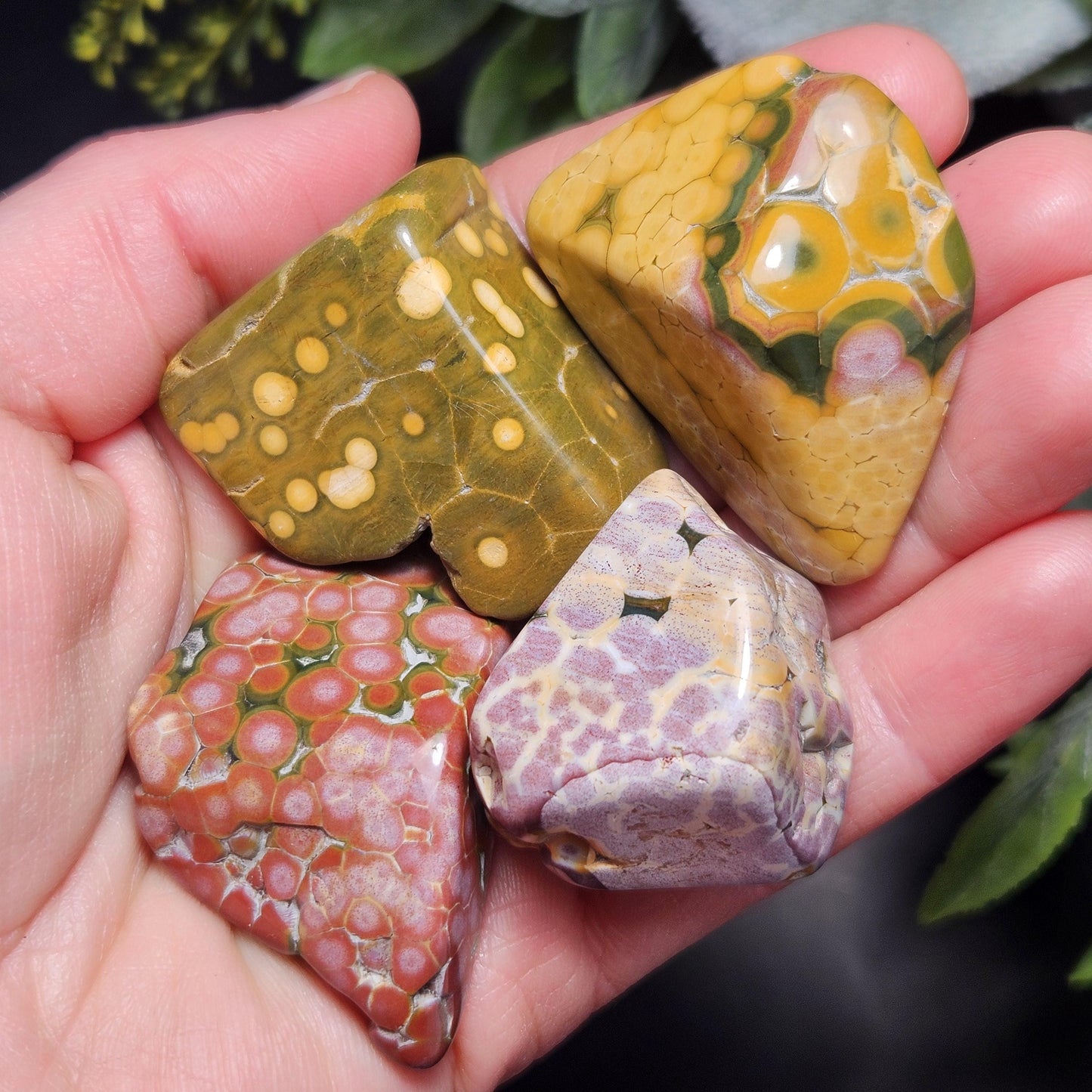 Orbicular Ocean Jasper Tumbled Stone, Natural Polished Kabamby Ocean Jasper Crystal from Madagascar