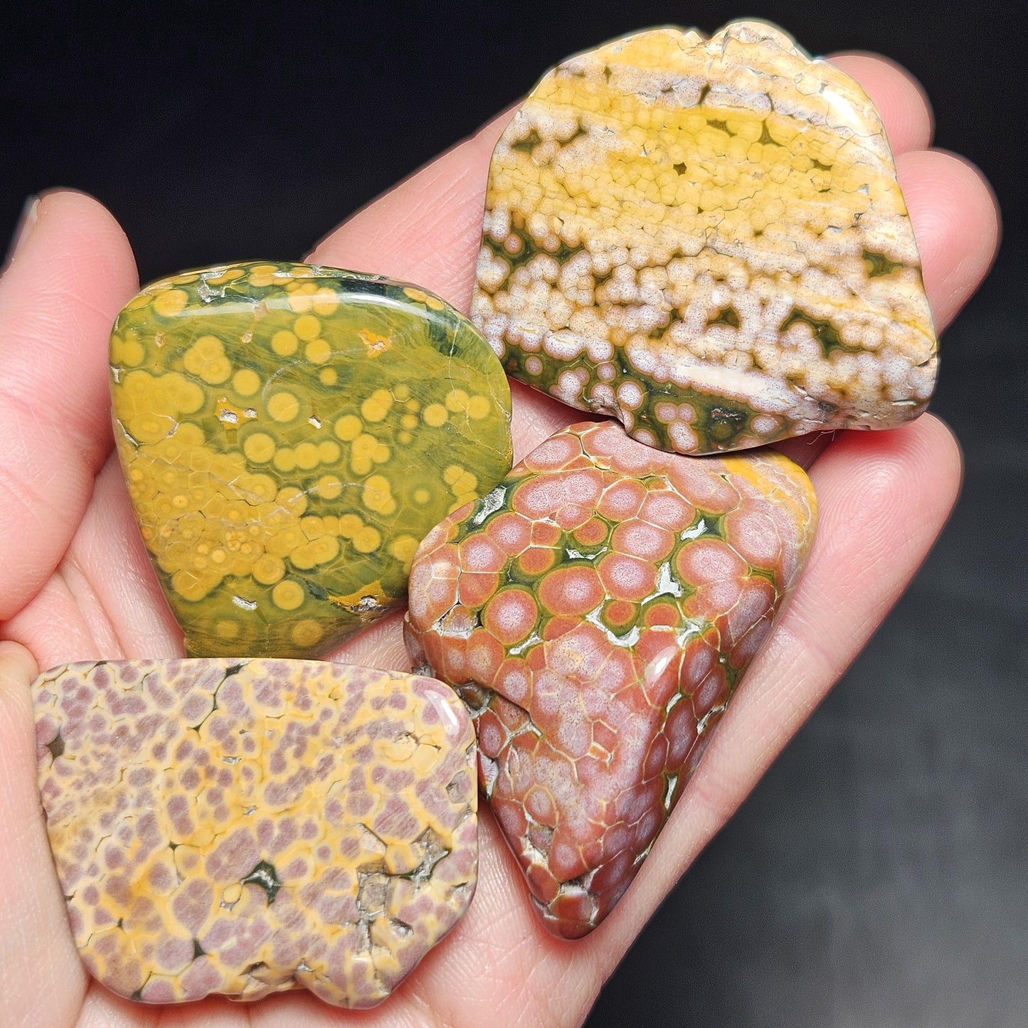 Orbicular Ocean Jasper Tumbled Stone, Natural Polished Kabamby Ocean Jasper Crystal from Madagascar