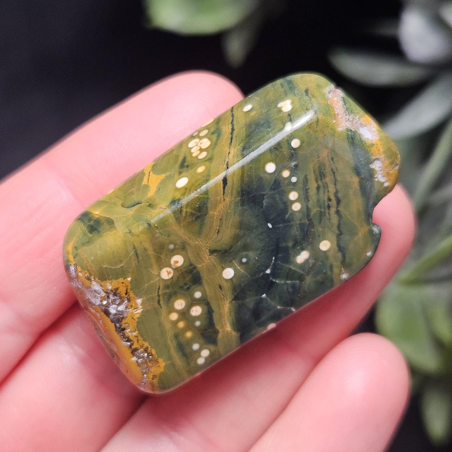 Orbicular Ocean Jasper Tumbled Stone, Natural Polished Kabamby Ocean Jasper Crystal from Madagascar