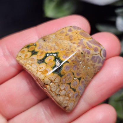 Orbicular Ocean Jasper Tumbled Stone, Natural Polished Kabamby Ocean Jasper Crystal from Madagascar