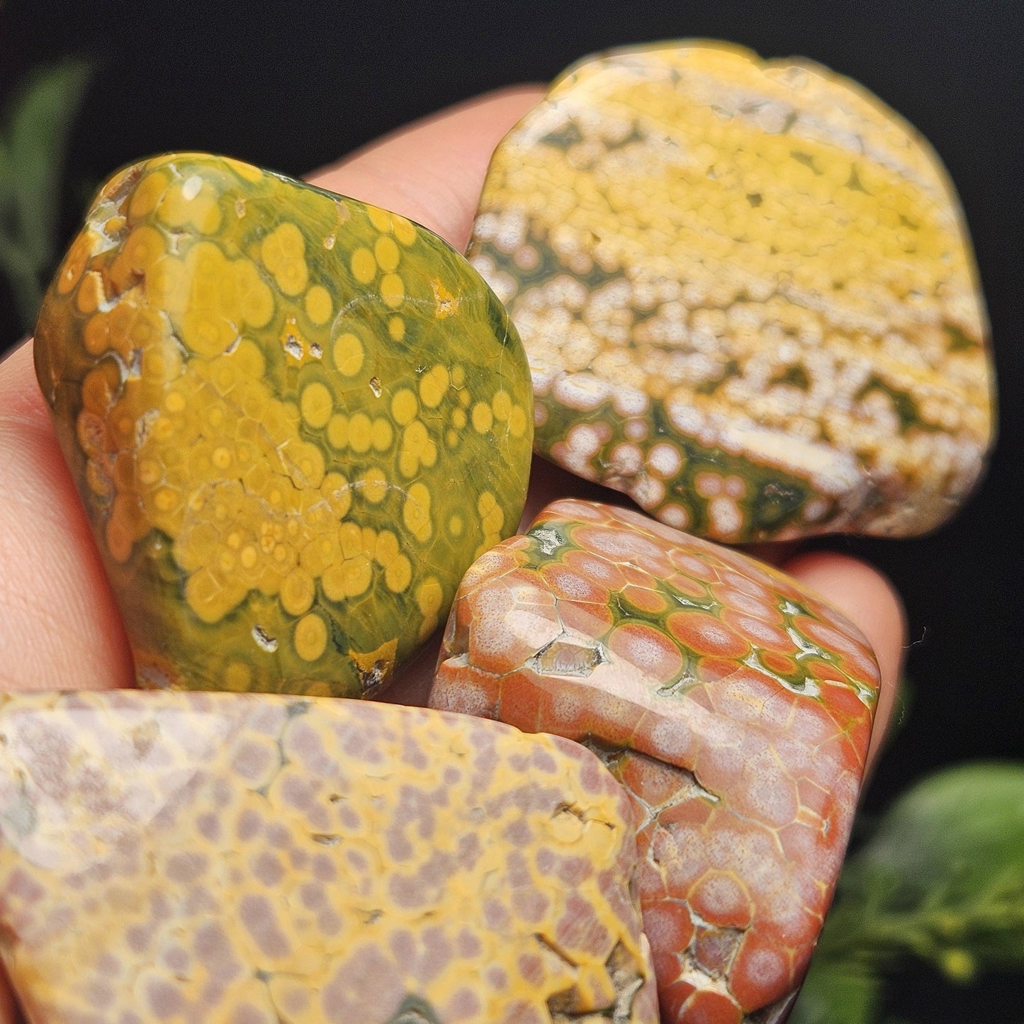 Orbicular Ocean Jasper Tumbled Stone, Natural Polished Kabamby Ocean Jasper Crystal from Madagascar