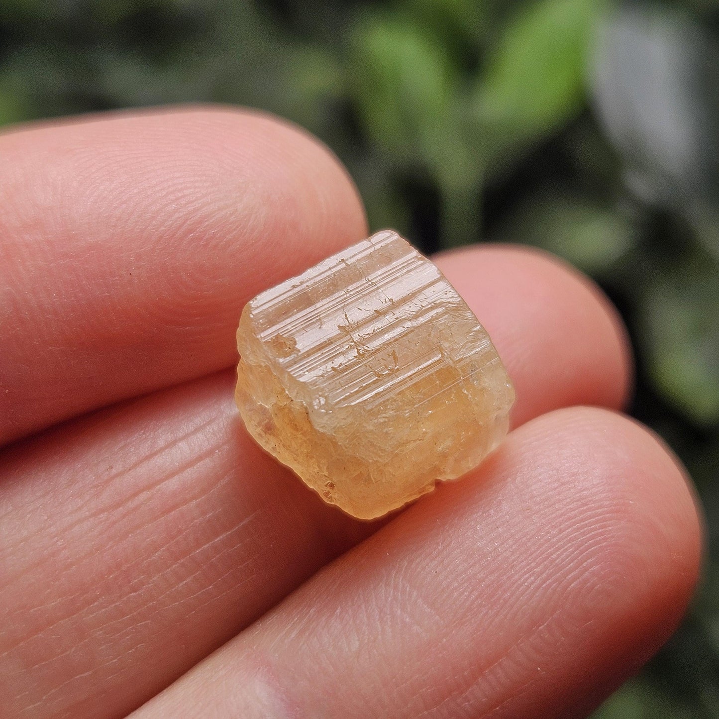 Etched Golden Topaz Crystal 2