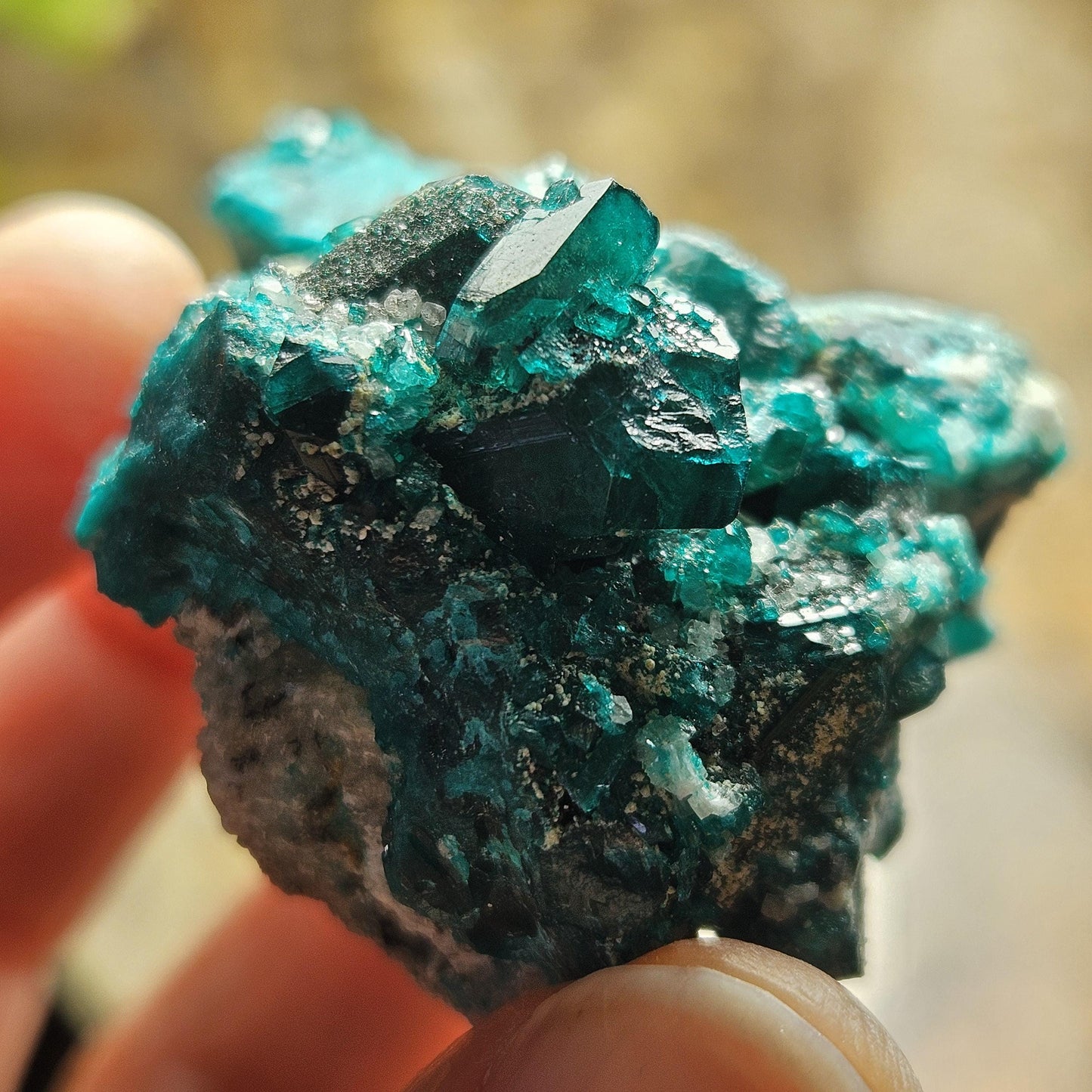 Dioptase Crystal Specimen 44.9g, Raw Green Dioptase from Congo