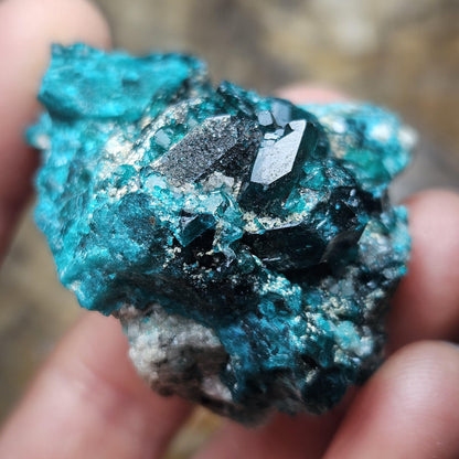 Dioptase Crystal Specimen 44.9g, Raw Green Dioptase from Congo