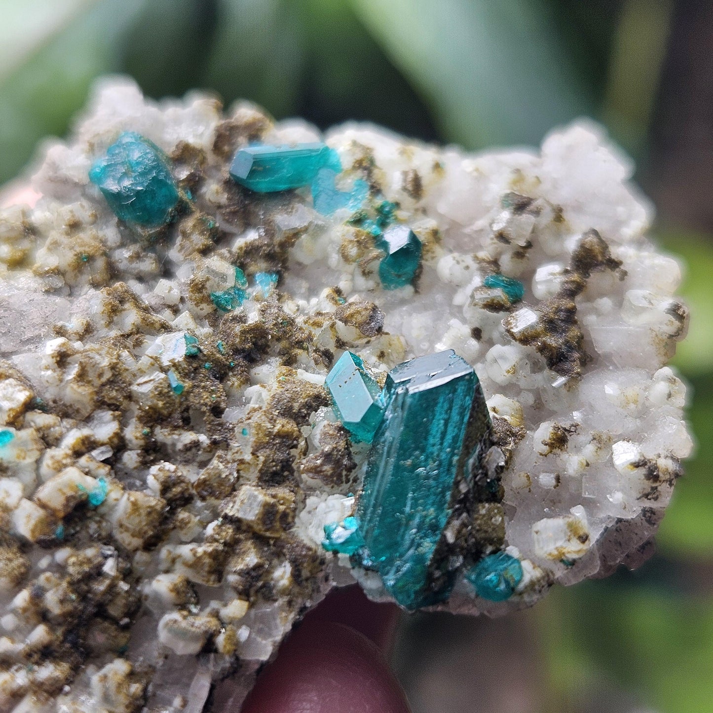 Dioptase Crystal Specimen 27.9g, Raw Green Dioptase Stone Cluster
