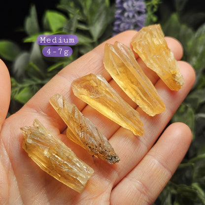 Golden Dogtooth Calcite, Honey Calcite Stone from India, RARE UV Reactive Crystal Specimen