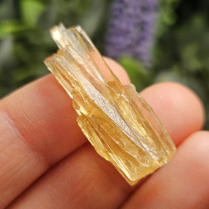 Golden Dogtooth Calcite, Honey Calcite Stone from India, RARE UV Reactive Crystal Specimen
