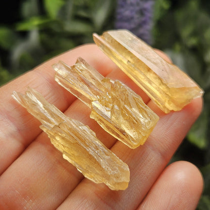 Golden Dogtooth Calcite, Honey Calcite Stone from India, RARE UV Reactive Crystal Specimen