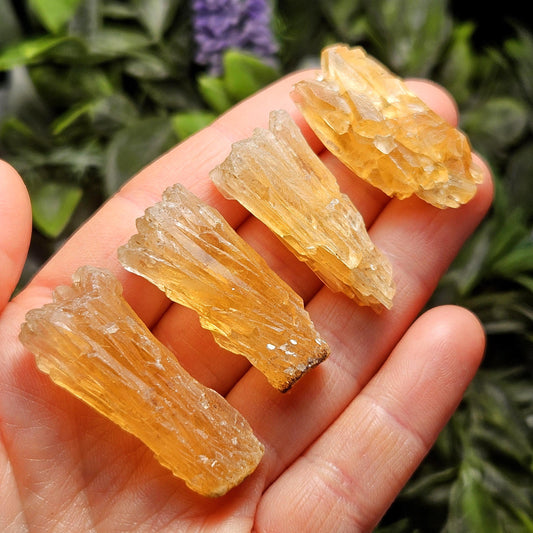 Golden Dogtooth Calcite, Honey Calcite Stone from India, RARE UV Reactive Crystal Specimen