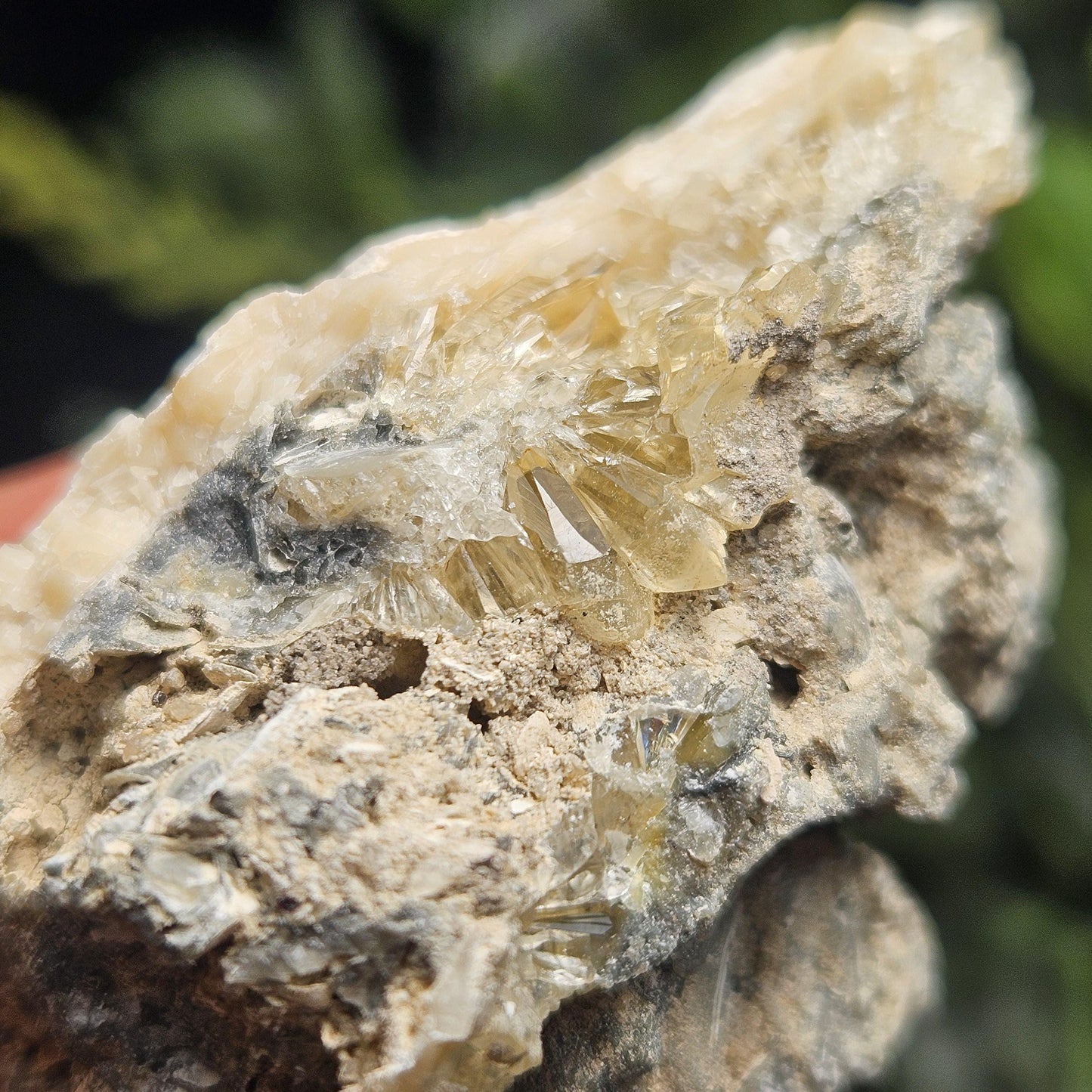 Calcite Clam Shell Fossil, Rucks Pit Honey Calcite in Shell Fossil