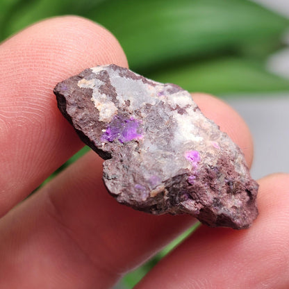Raw Sugilite Crystal 4.0g, South African Fibrous Sugilite Specimen OLD STOCK