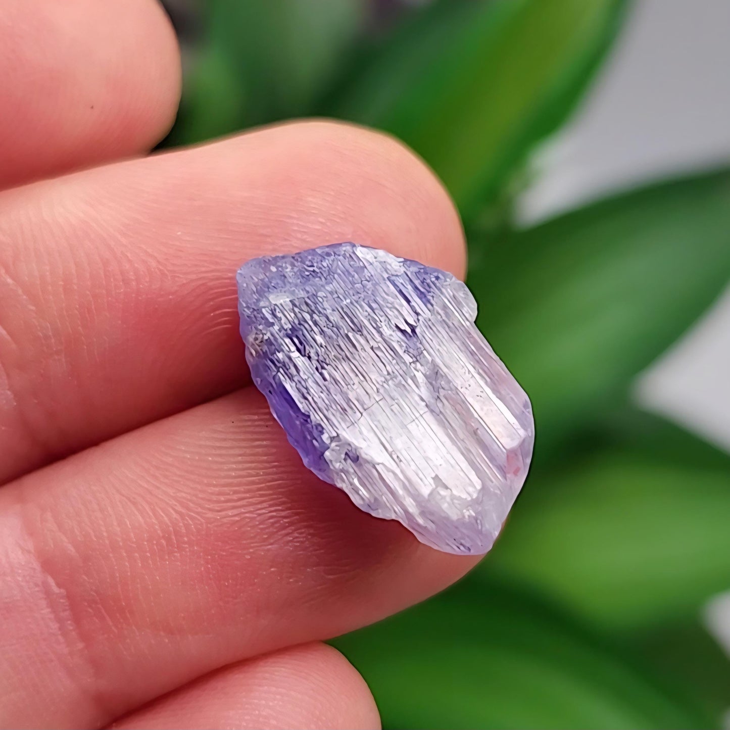 Tanzanite Crystal 2.2g, Raw Bicolor Tanzanite, Terminated Gemstone Specimen