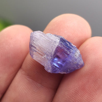 Tanzanite Crystal 2.2g, Raw Bicolor Tanzanite, Terminated Gemstone Specimen