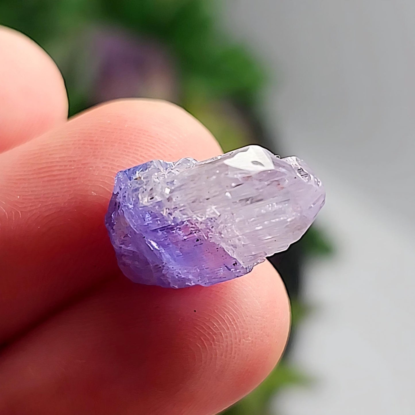 Tanzanite Crystal 2.2g, Raw Bicolor Tanzanite, Terminated Gemstone Specimen