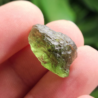 Poison Green Moldavite Crystal 2.02g: Authentic Raw Moldavite Specimen