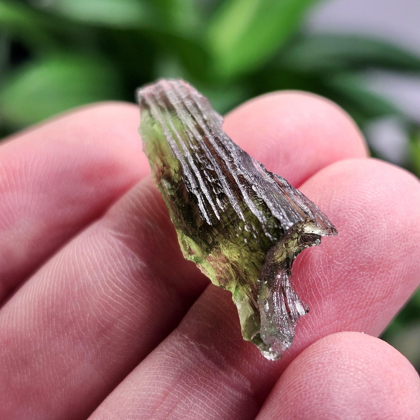 Moldavite Specimen from Vrabce 2.07g