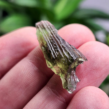 Moldavite Specimen from Vrabce 2.07g