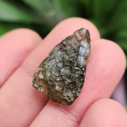 Moldavite Specimen 1.96g