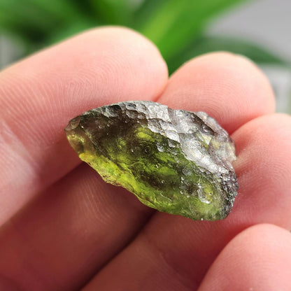 Moldavite Specimen 1.96g