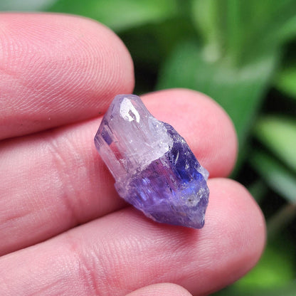 Tanzanite Crystal 2.2g, Raw Bicolor Tanzanite, Terminated Gemstone Specimen