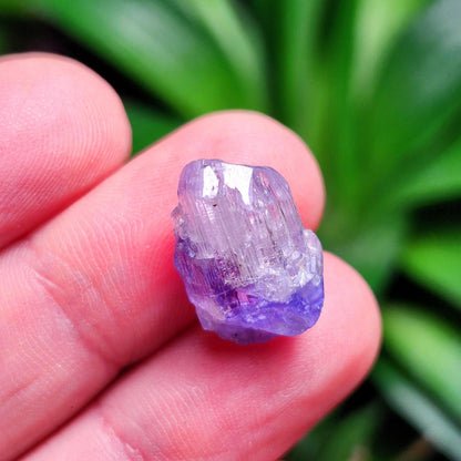 Tanzanite Crystal 2.2g, Raw Bicolor Tanzanite, Terminated Gemstone Specimen