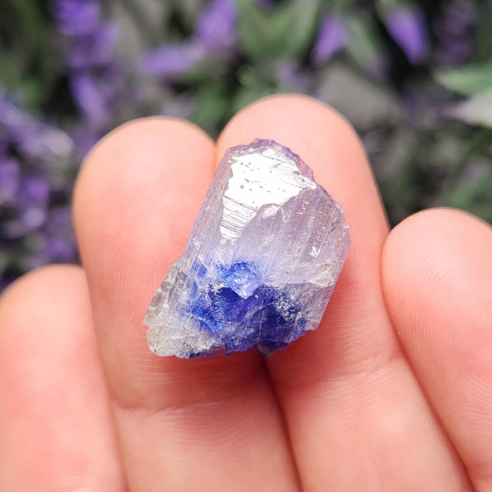 May include: A small, clear crystal with a blue base. The crystal is pointed at the top and has a slightly rough texture.