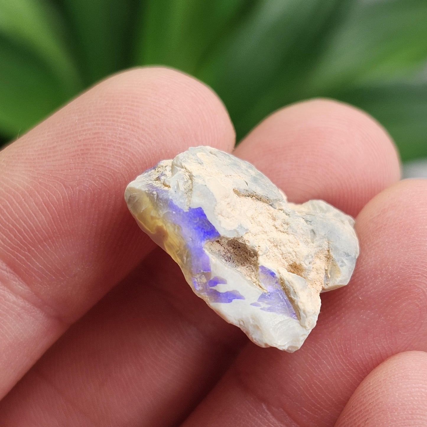 Australian Blue Opal from Lightning Ridge 2.83g, Opal Crystal Specimen from Australia