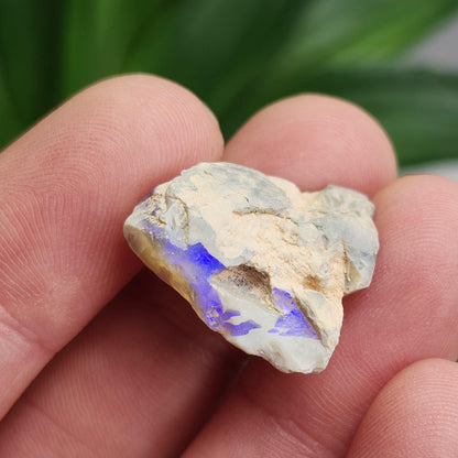 Australian Blue Opal from Lightning Ridge 2.83g, Opal Crystal Specimen from Australia