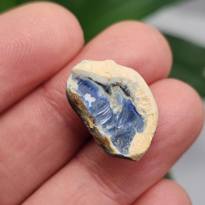 Lightning Ridge Black Opal 2.0g, Raw Australian Opal Stone Specimen